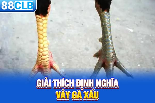 Giải thích định nghĩa vảy gà xấu