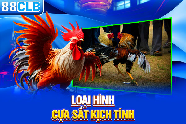 Loại hình cựa sắt kịch tính