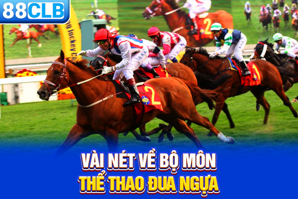 Vài nét về bộ môn thể thao đua ngựa