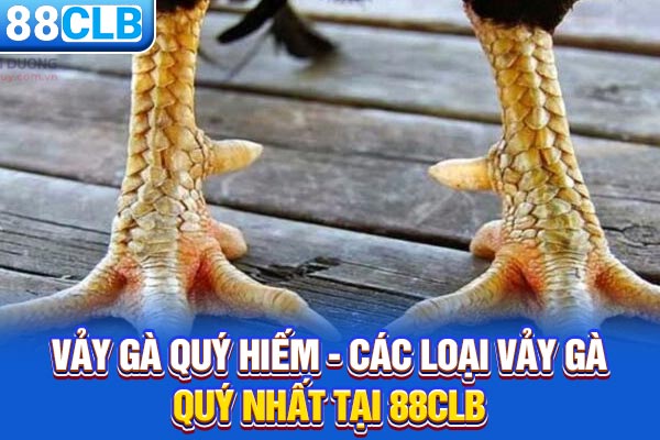 Vảy Gà Quý Hiếm - Các Loại Vảy Gà Quý Nhất Tại 88CLB